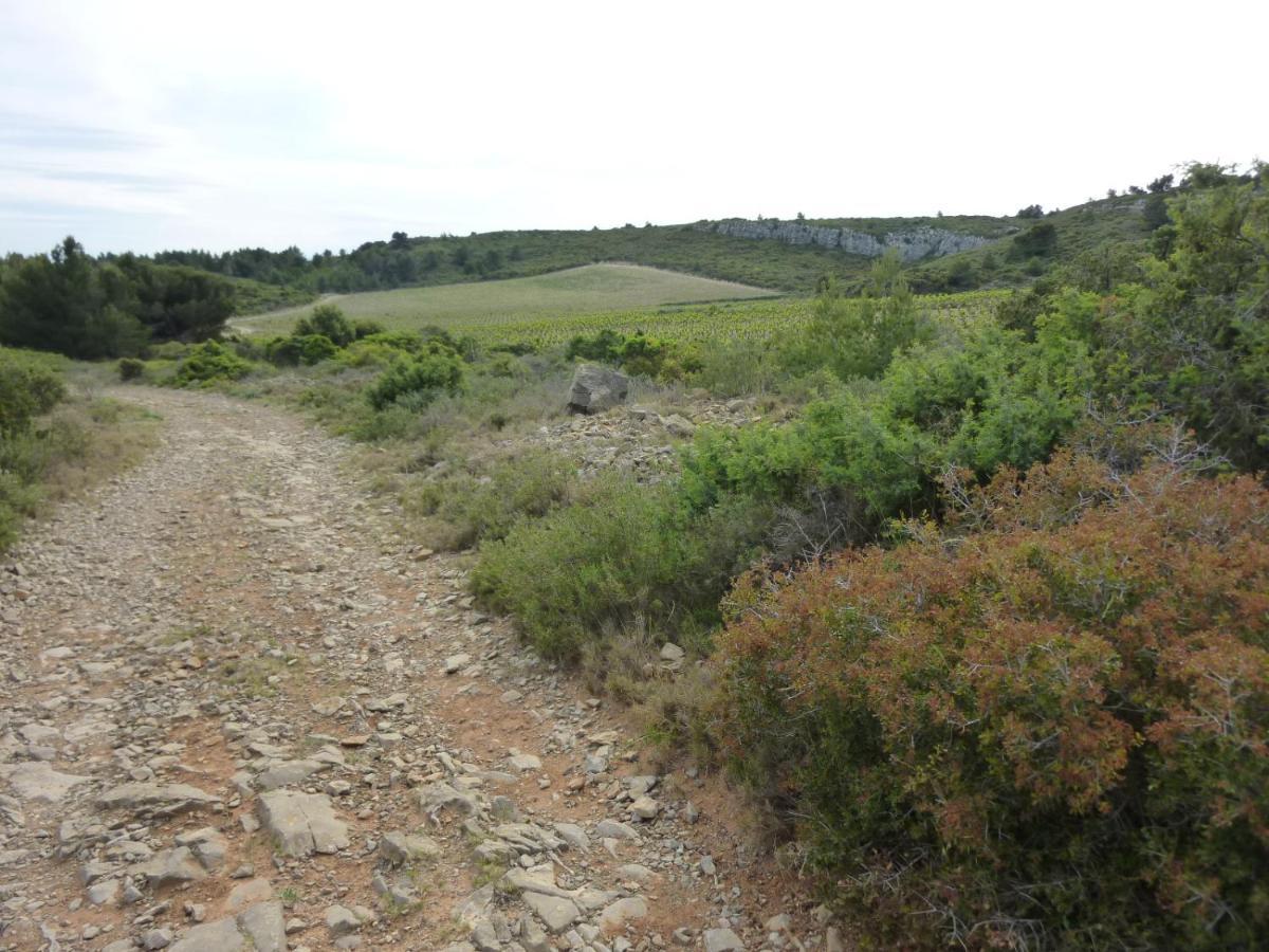 Maison A Narbonne Plage Proche Mer Et Clape エクステリア 写真