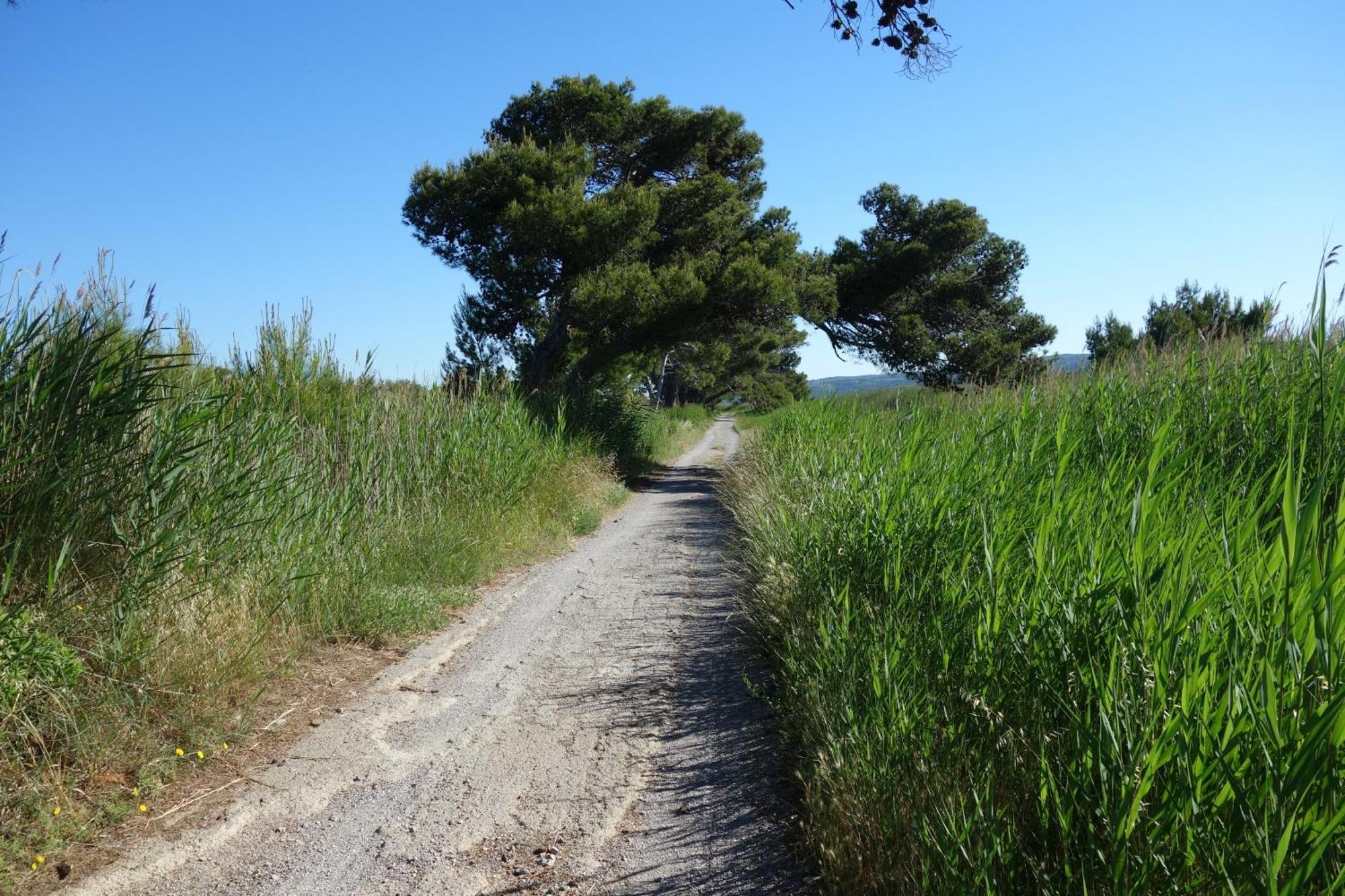 Maison A Narbonne Plage Proche Mer Et Clape エクステリア 写真